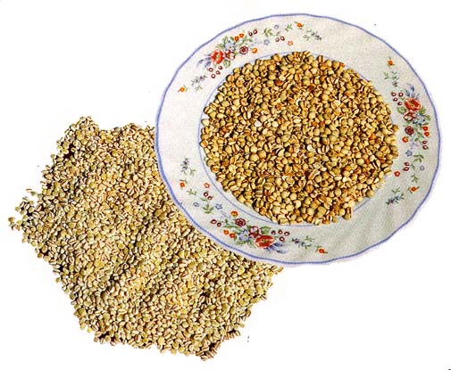 Cecilia.Jorge.Reequilibrar o organsmo.2