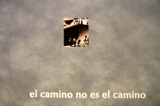 Bienal Arte S.Paulo 2012 (07)