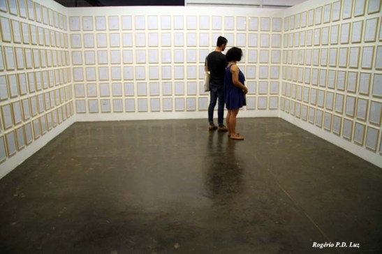 Bienal Arte S.Paulo 2012 (13)