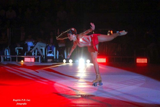 Periquitos Dez 2012 (002)