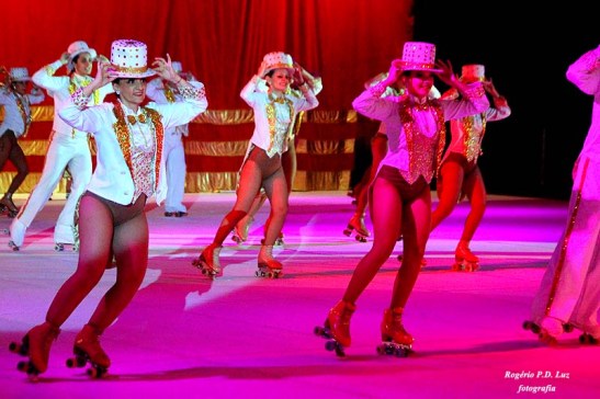 Periquitos Dez 2012 (011)