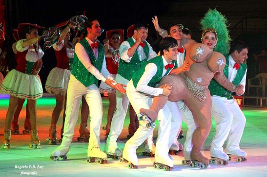 Periquitos Dez 2012 (015)