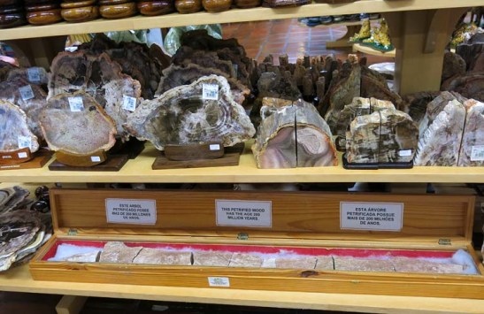 caixa com árvore petrificada com mais de 200 milhões de anos