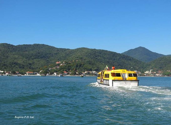 Cruzeiro Costa Fortuna Fev 2013 (21)