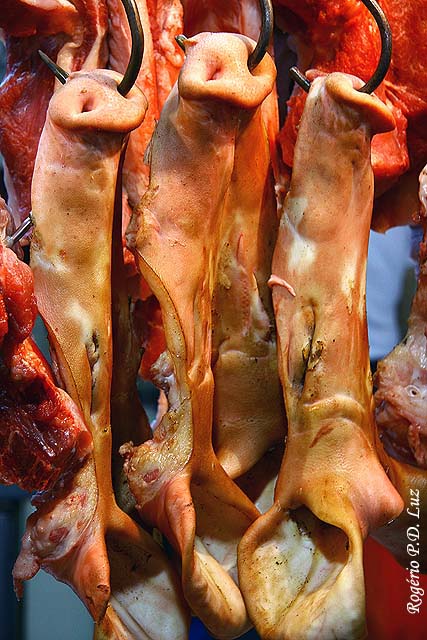 Macau fotos curiosas (05)