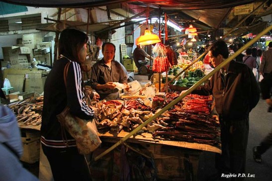 Macau gastronomia 2010 (15)