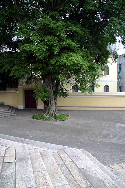 O portão externo que liga a Igreja ao Seminário