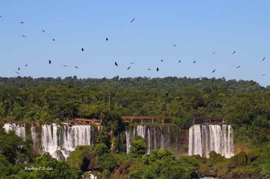 Brasil Cataratas Foz Iguaçu Dez2012 (08)