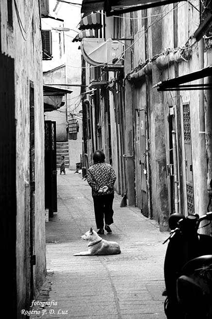 Macau.Rua.Felicidade.19.382