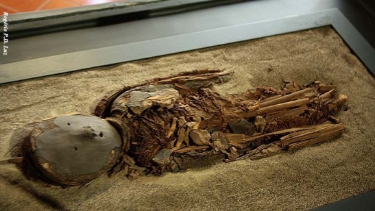 Uma múmia chinchorro