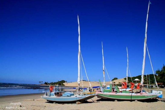 Pode-se contratar passeios de jangada