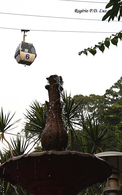 macau07jardimflora.10