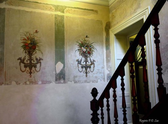 Casa da Imagem S.Paulo (10)