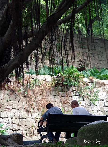 Macau maneiras de conhecer (01)