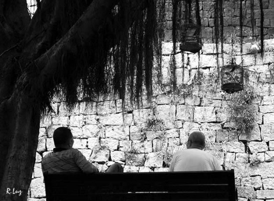 Macau maneiras de conhecer (02)