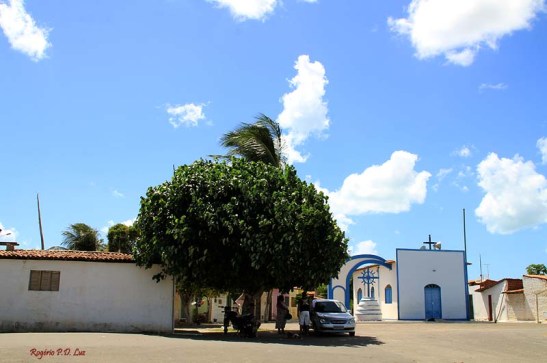 Pescador em Macau (15)