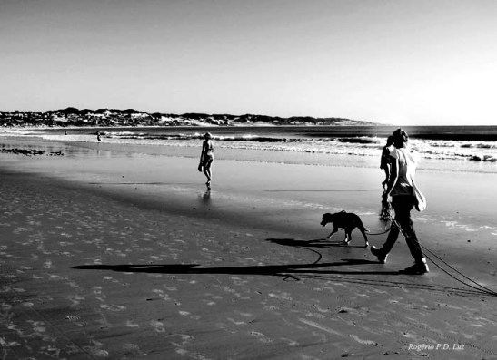 Ponta Negra.Morro Careca.RN (07)