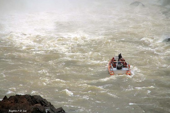 Cataratas Foz Iguacu Macuco safari (14)