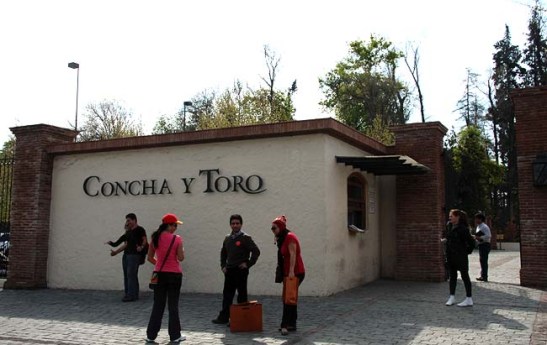 Chile Vinicola Concha Y Toro (01)