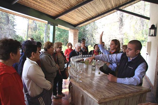 Chile Vinicola Concha Y Toro (09)