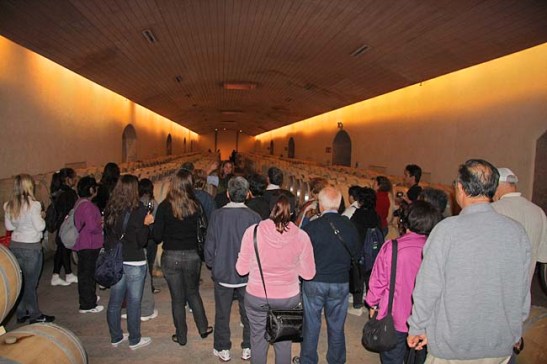 Chile Vinicola Concha Y Toro (10)