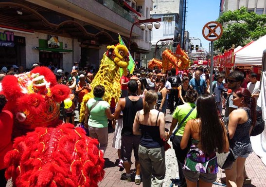 Sao Paulo Ano Novo chines 2014 (02)