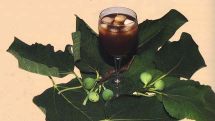 Imagem da Revista Macau