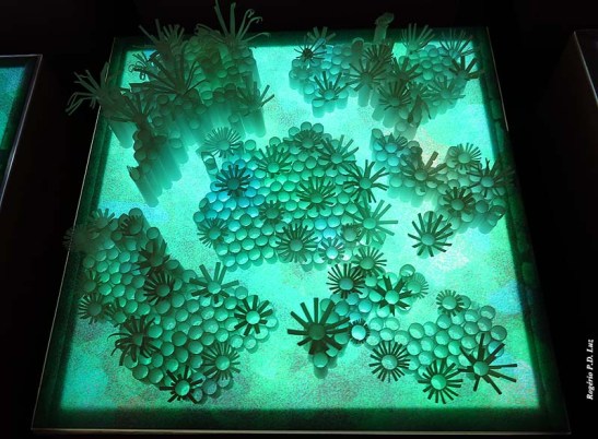 ChinaArteBrasil 2014 (109)