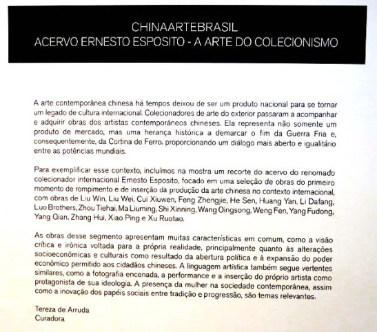 ChinaArteBrasil 2014 (160)