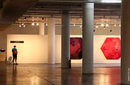 ChinaArteBrasil 2014 (38)