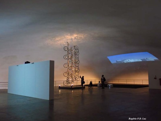 ChinaArteBrasil 2014 Ai WeiWei (08)