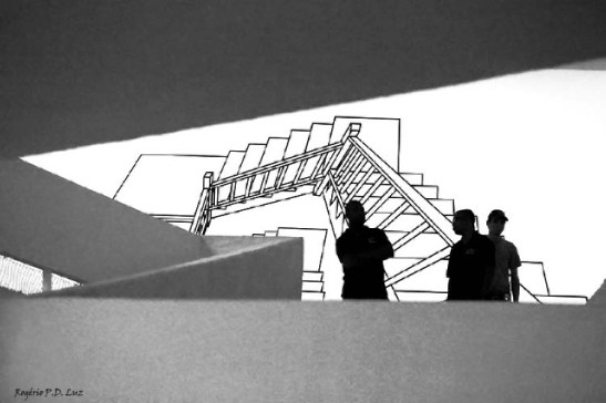 Bienal 30 anos S. Paulo 2013 (01)