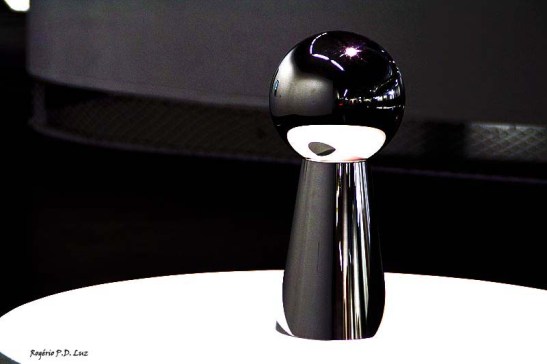 Bienal 30 anos S. Paulo 2013 (14.1)