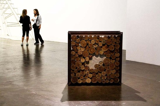 Bienal 30 anos S. Paulo 2013 (30)