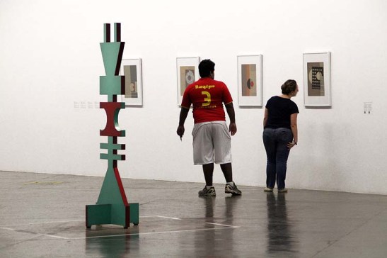 Bienal 30 anos S. Paulo 2013 (44)