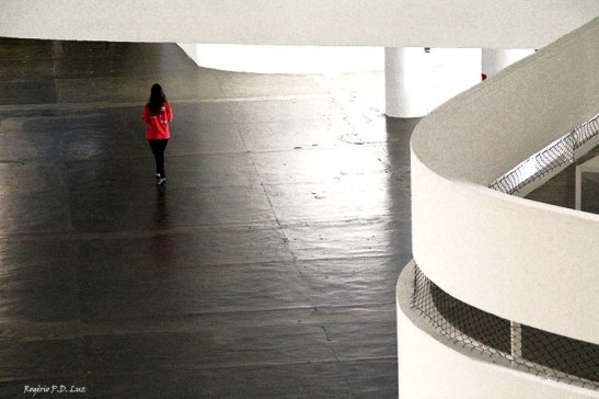 Bienal 30 anos S. Paulo 2013 (66)