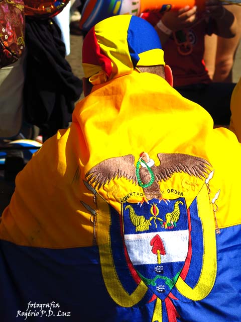 Copa Mundo Fan Fest ChilexHolanda (69)