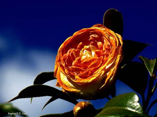 Monte Verde julho 2014 (06)