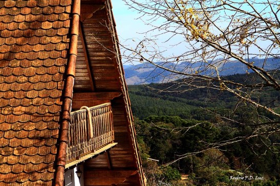 Monte Verde julho 2014 (15)