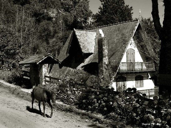 Monte Verde julho 2014 (23)