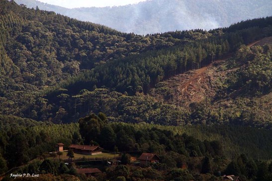 Monte Verde julho 2014 (25)