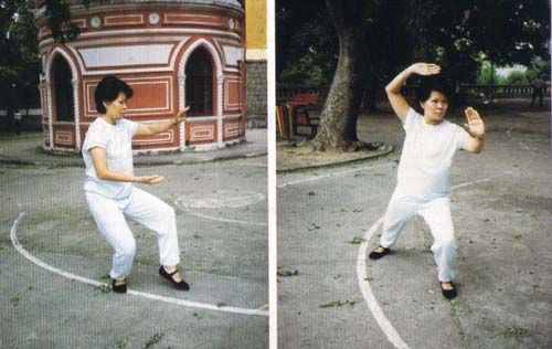 "Em movimento Yin e Yang actuam independentemente. Em quietude os dois são um"