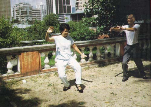 Tai Chi (5)
