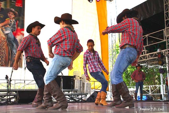 Revelando Sao Paulo 2014 folclore dança (12)