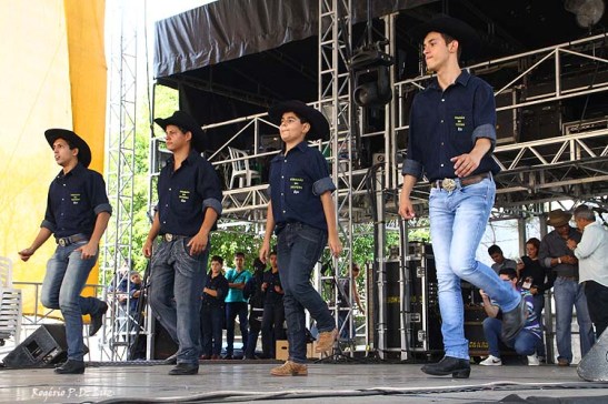 Revelando Sao Paulo 2014 folclore dança catira (11)