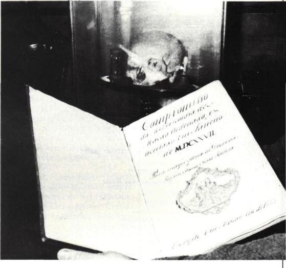 Santa Casa de Misericordia no Oriente (01)