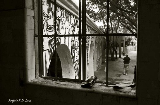 Hospital Matarazzo Exposicao Feito por Brasileiros (78)