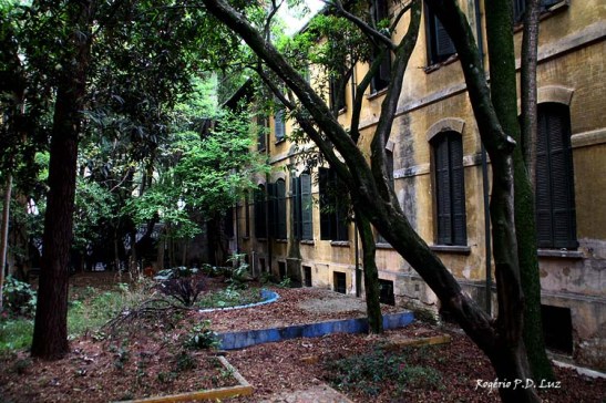 Hospital Matarazzo Exposicao Feito por Brasileiros (81)