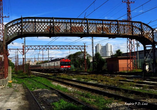 O trem circula ao lado trens da Rede Ferroviária 