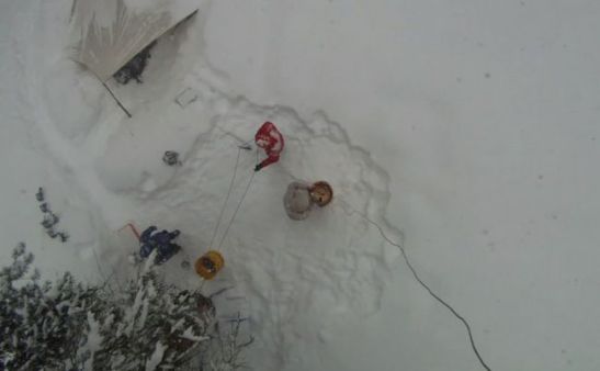 Arvore antiga 3.200 anos presidente (03)